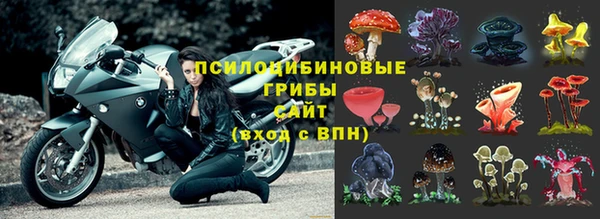 ПСИЛОЦИБИНОВЫЕ ГРИБЫ Володарск